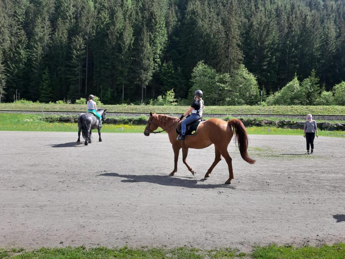 Aparthotel Pinzgau Neukirchen am Großvenediger Esterno foto